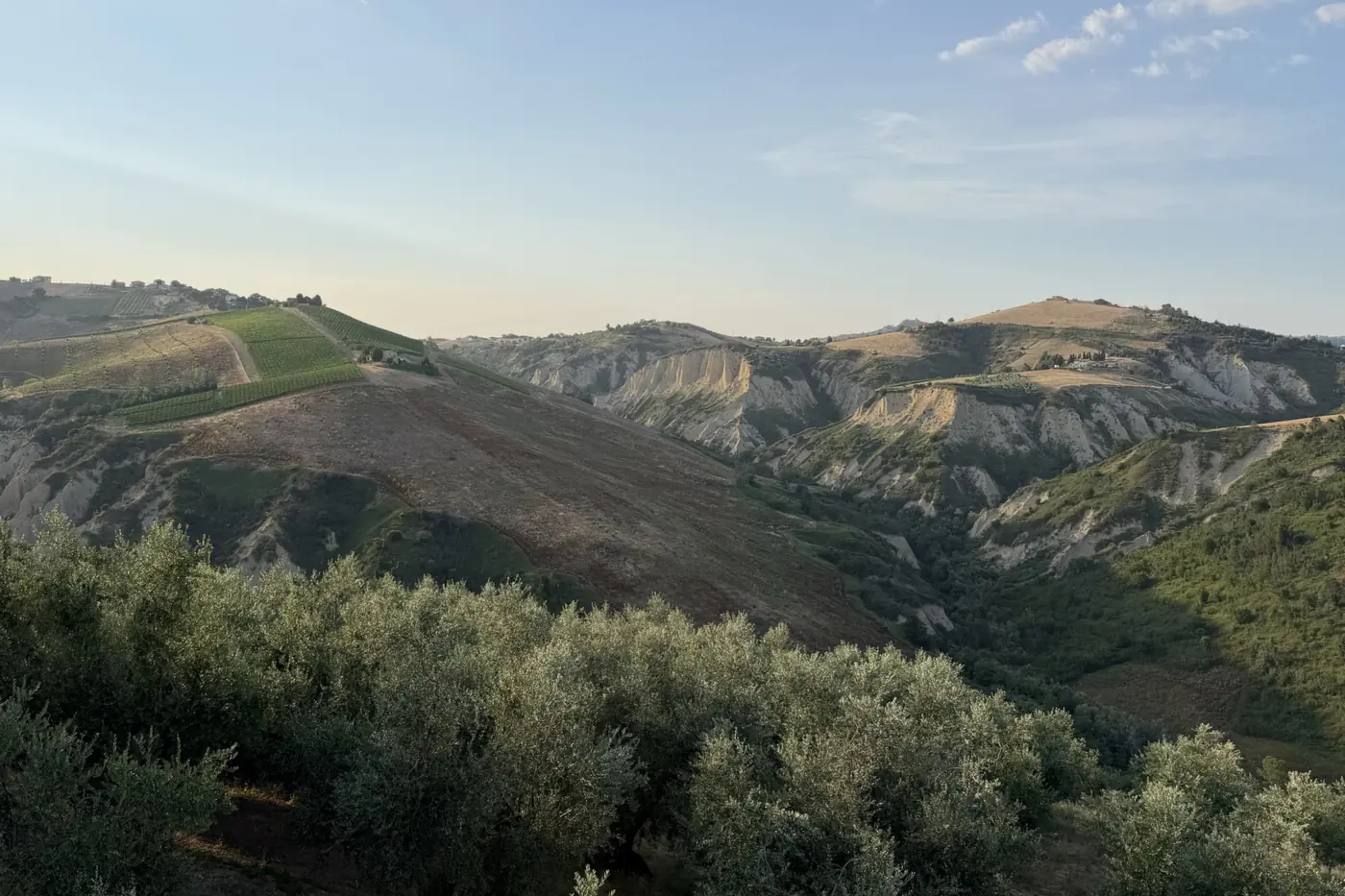 L'uliveto di Casa Leone sopra una valle di colline e calanchi
